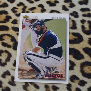 Craig Biggio #162 Baseball Card